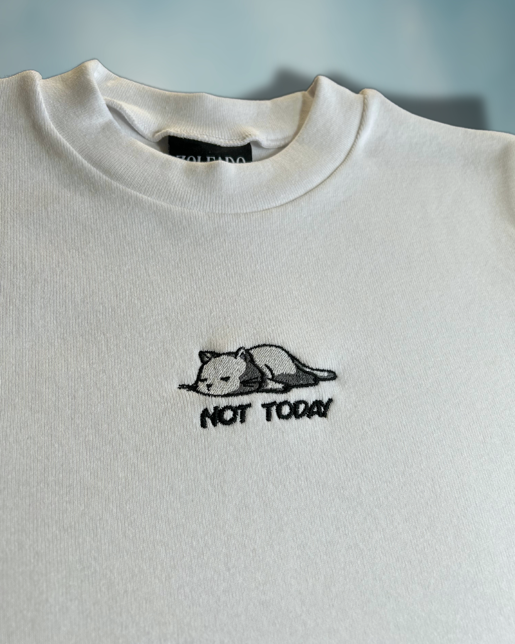 Not Today Lazy Cat Baby Tee – Embroidered Cat Design