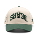 Baylor Upside Down Bears Hat