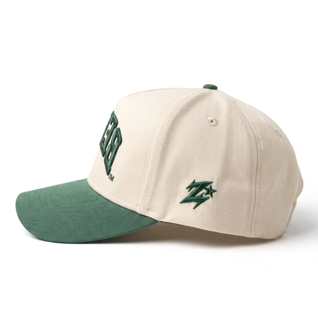 Baylor Upside Down Bears Hat